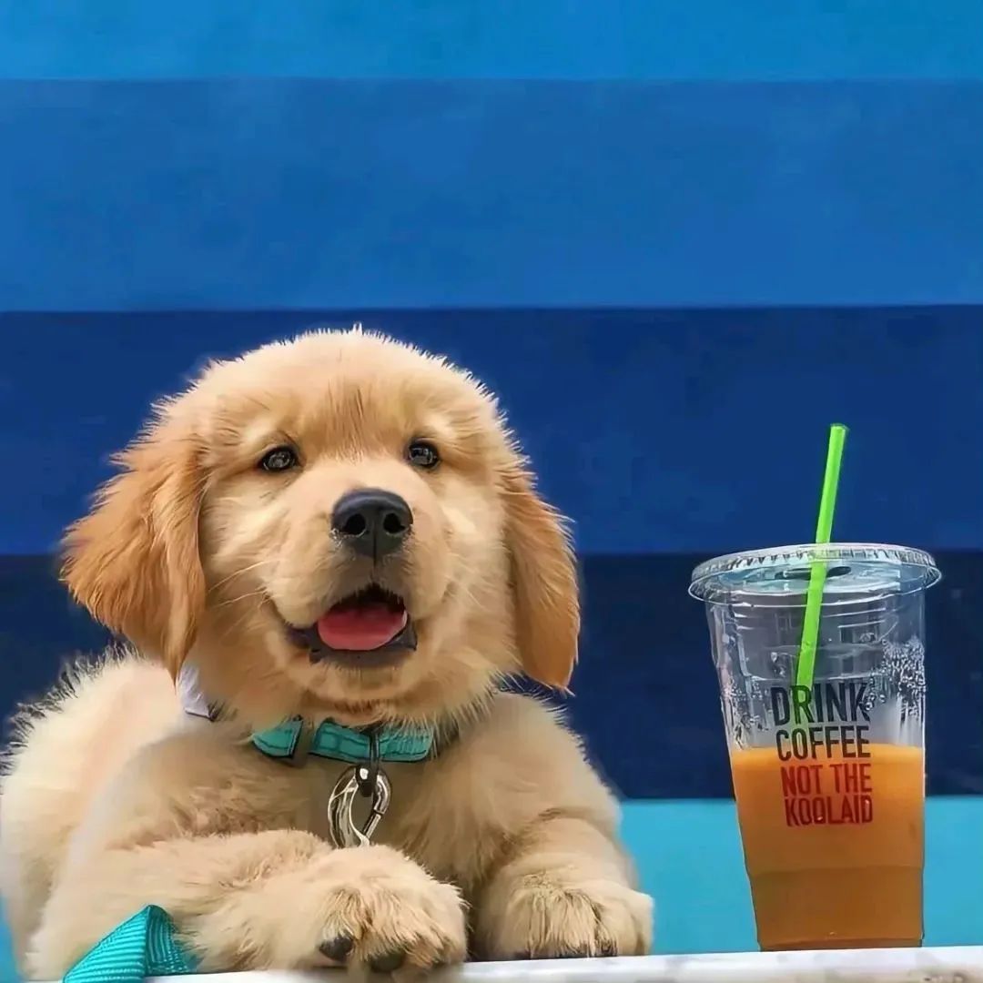 医师执业资格证考试 医师执业资格证考试